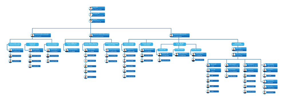 Organization Chart